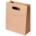 BOLSA DELIVERY GRANDE 1X100UND 